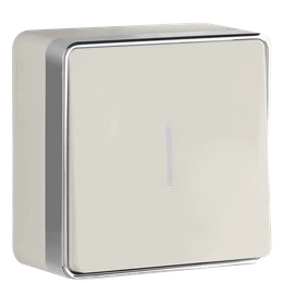 Слоновая кость изображение